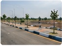 Road View